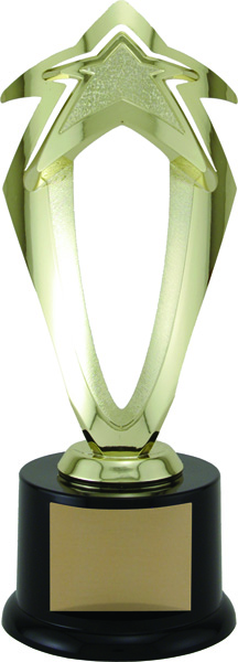 T15-71400.jpg