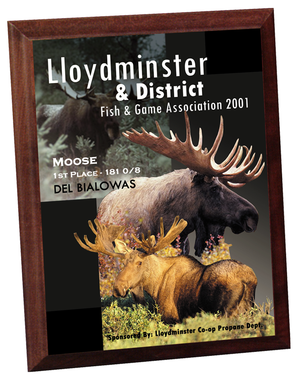 moose.png