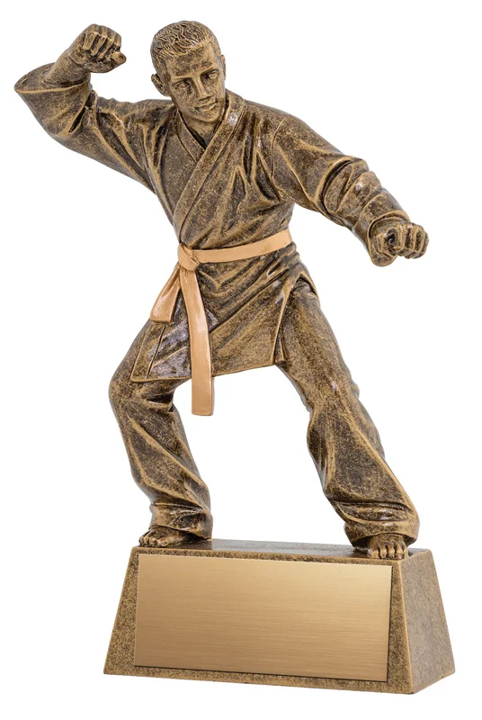 Pinnacle Martial Arts Resin 8.25" (Includes Engraving)