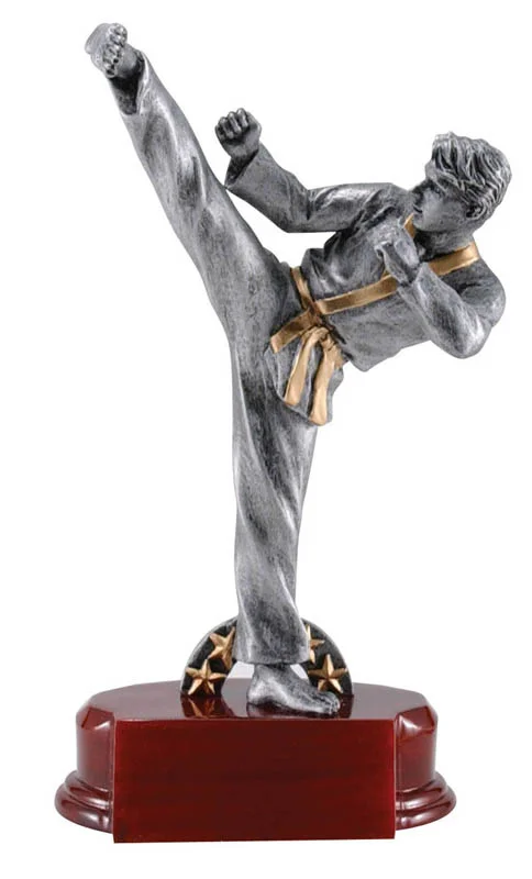Karate Silver 9" (Includes Engraving)