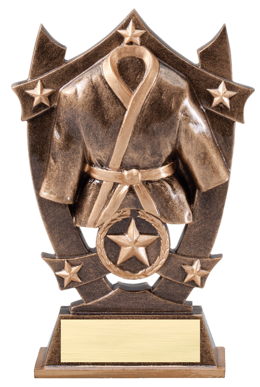 ENGRAVED FREE Karate Fight Award High Star Gold Sports Trophy A 