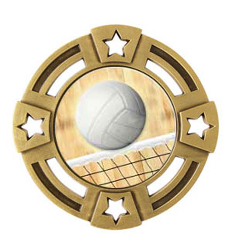 MMI374_G_vball.jpg