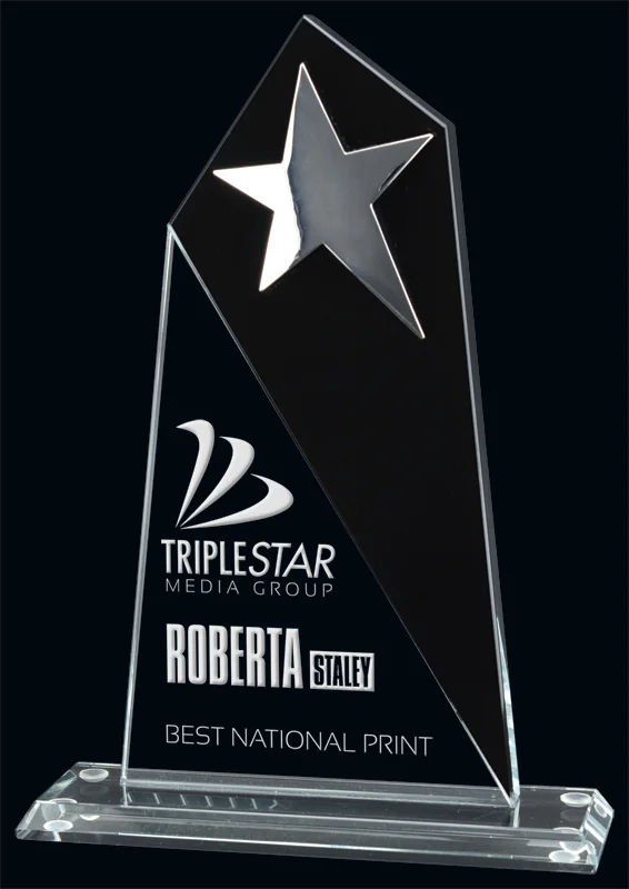 Vision Glass Award- 2 Sizes (Includes Engraving)