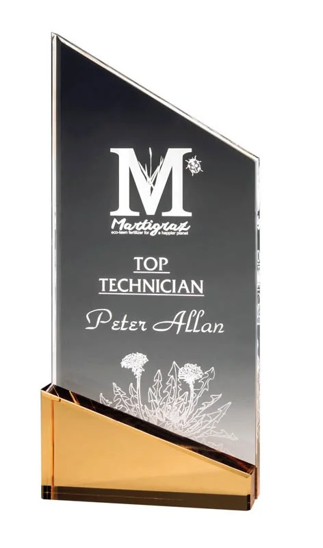 Acrylic Gold Peak Award- 2 Sizes (Engraving Included)