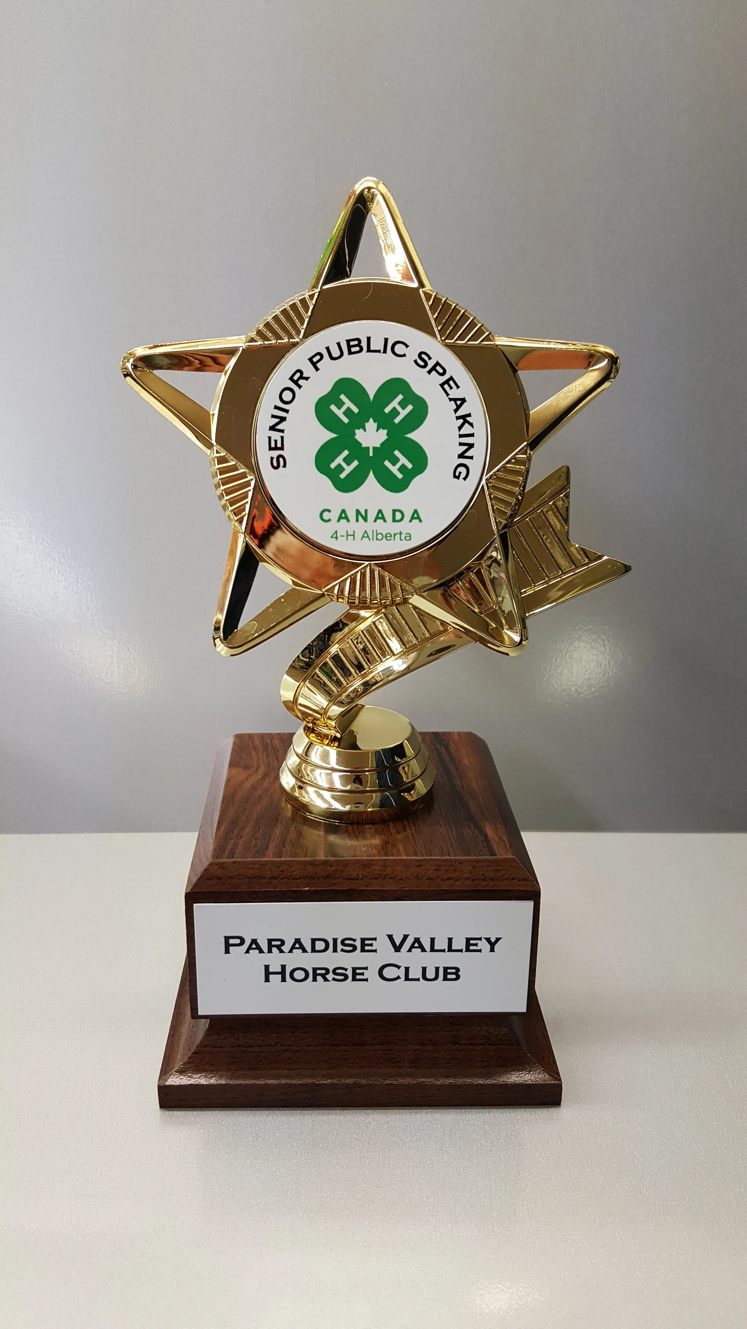 4-H Trophy 8" Small Annual Trophy (Includes Engraving)