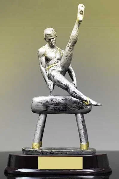 Gymnastics Male Resin Award 11" (Includes Engraving)