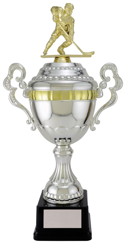 Viceroy Hockey Cup Silver- 5 Sizes (Includes Engraving)