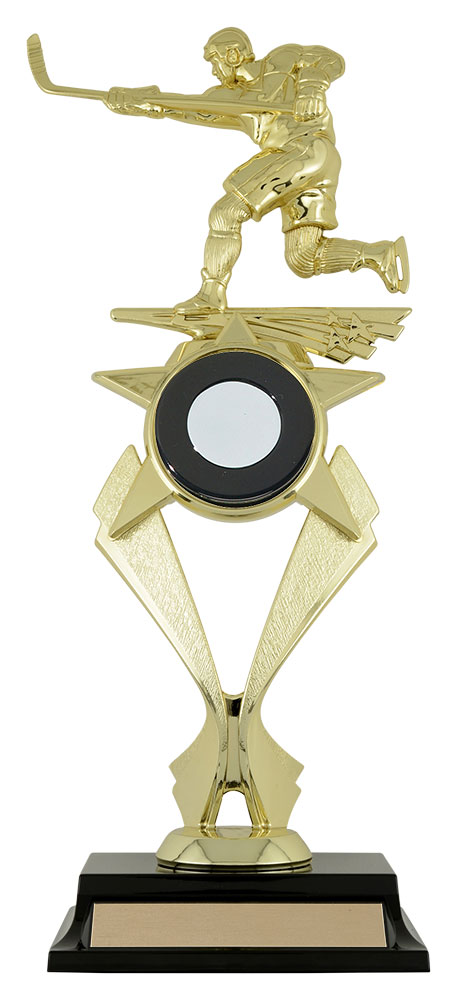 Star Power Hockey Trophy- 2 Sizes  (Engraving Included)