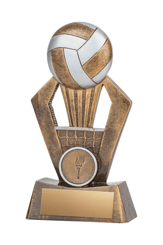 6X6 Volleyball Double Coed Plaque Award Volleyball Court Trophy with Custom Engraving 