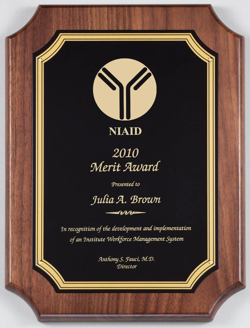 The Cravingport Plaque with Black Brass Gold Framed Plate- 3 Sizes (2 Custom Options)