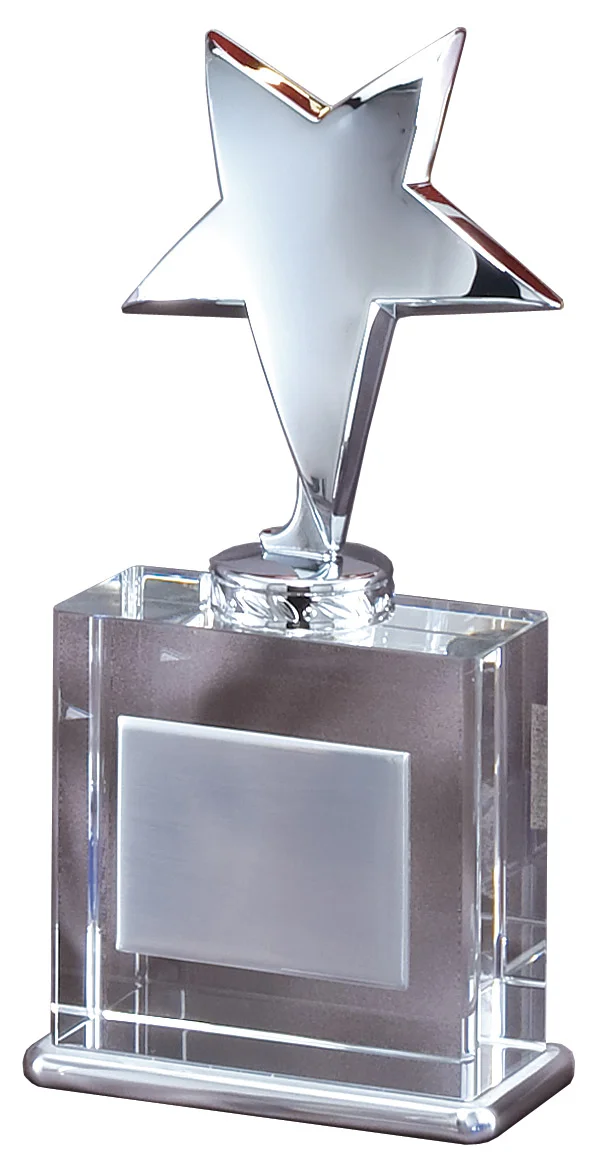 The Corporate Star Award crystal/silver metal- 3 Sizes (Includes Engraving)