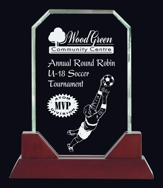 Hudson Glass Award 9.75" (Includes Engraving)