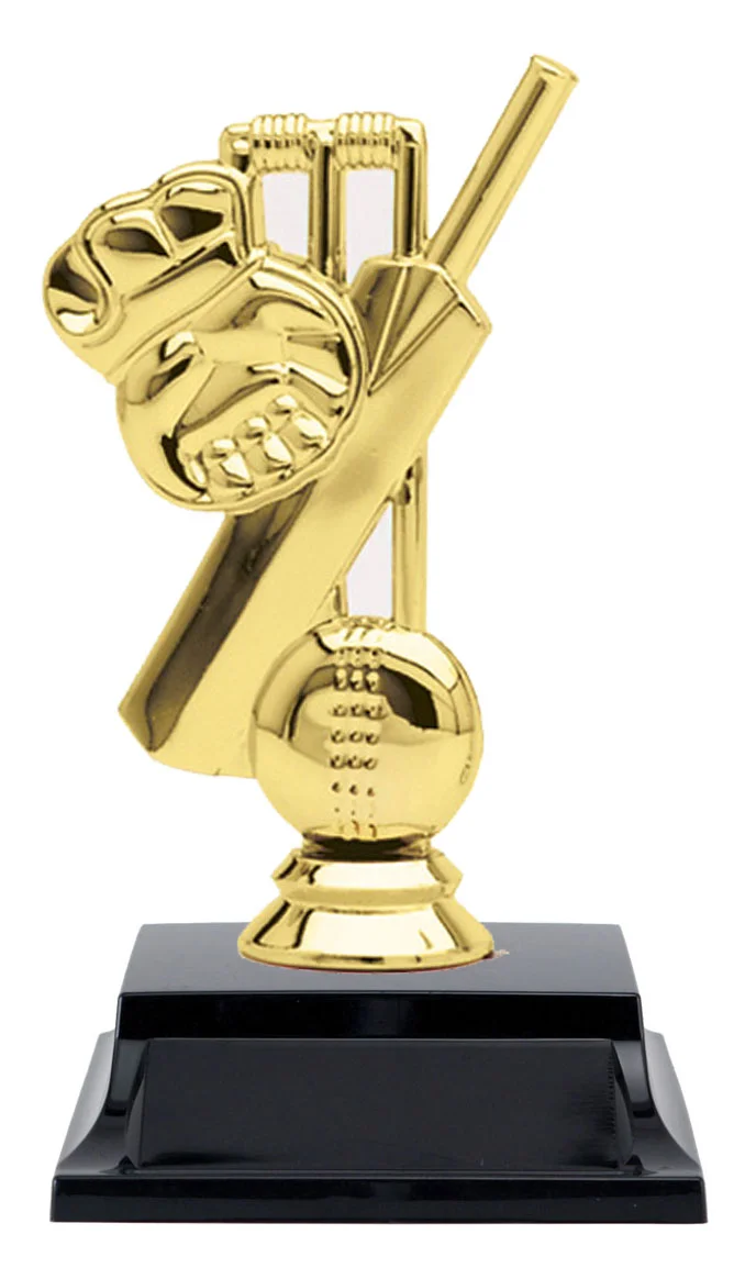 cricket-trophy-3.jpg