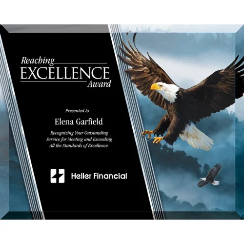 dt546ab-eagle-plaque.jpg