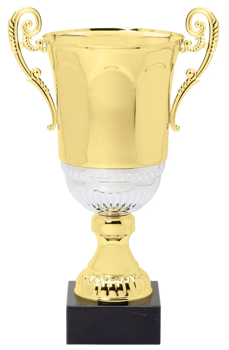 The Craguie Gold/Silver Cup- 4 Sizes (Includes Engraving)