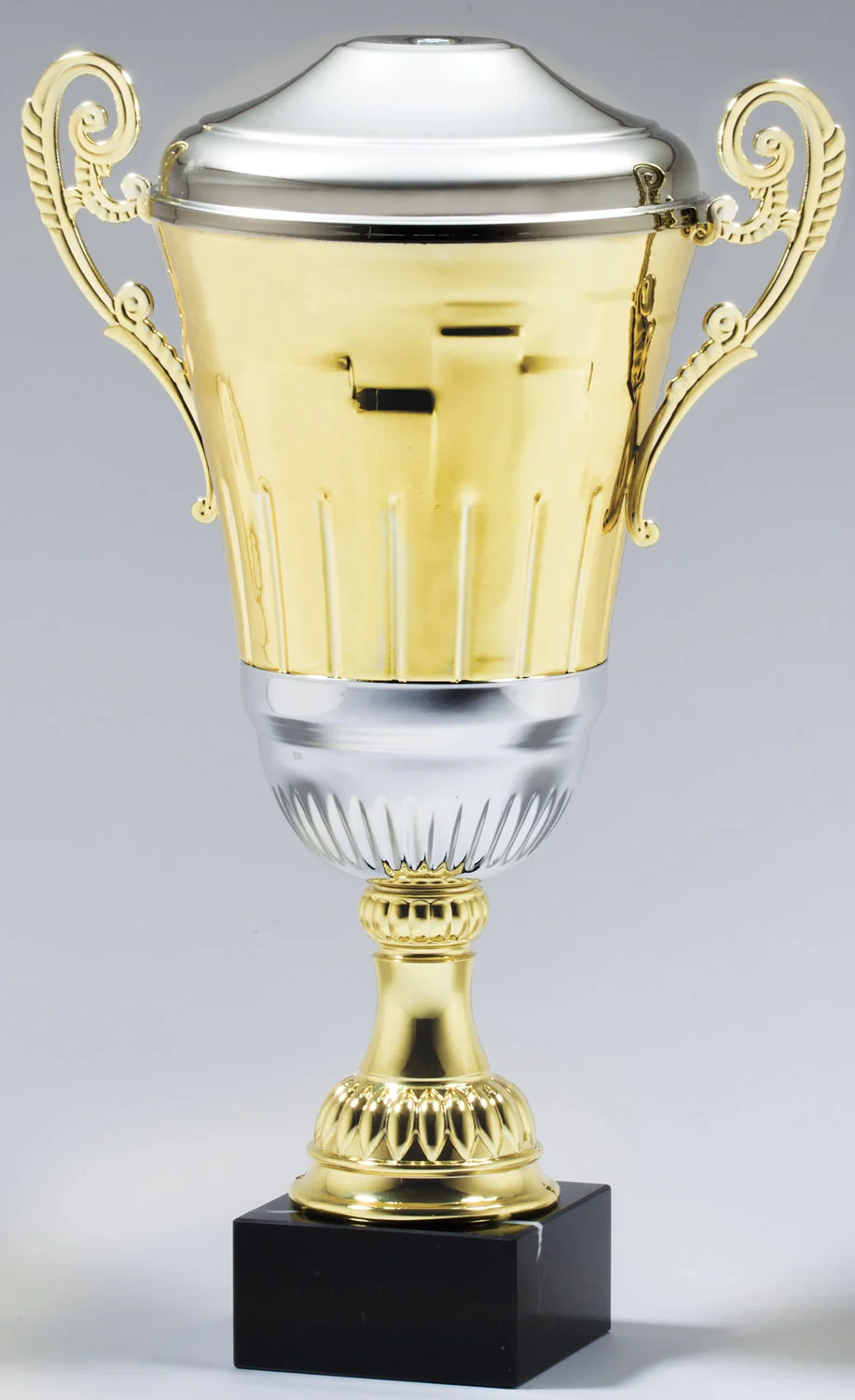 The Bessborough Gold/Silver Cup- 3 Sizes (Includes Engraving)