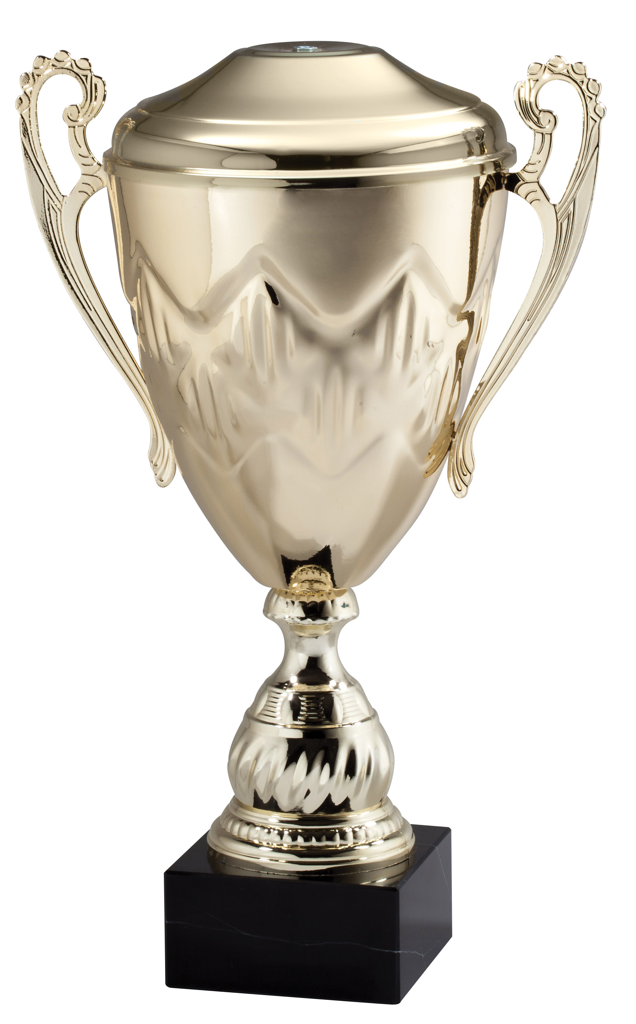 The Mayerthorpe Hockey Gold Cup- 3 Sizes (Includes Engraving)