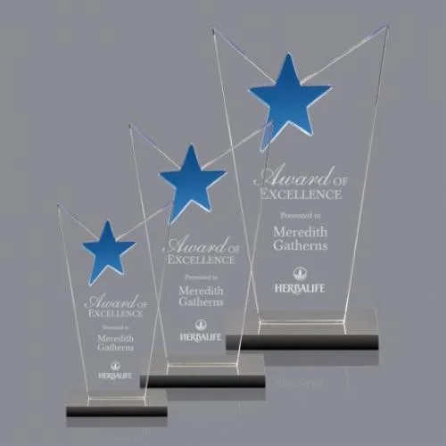 McKinley Star Award- 3 Sizes (Engraving Included)