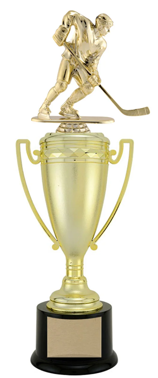 hockey--cup27.jpg
