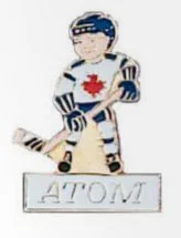 atom-pin.jpg