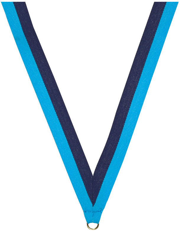 Navy and Light Blue Ribbon with snap clip 7/8"