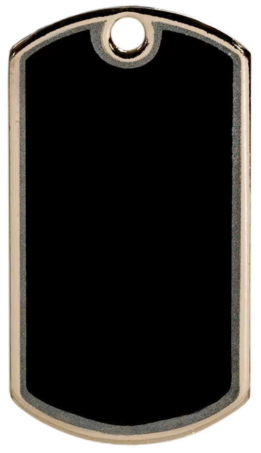 DT113.png