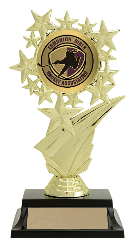 HOCKEY TROPHY AWESOME NEW LARGE FANTASY TWO POST AWARD OUR CUSTOM DESIGN * 