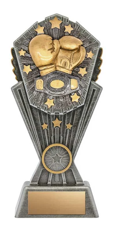Boxing Cosmos Resin Trophy- 4 Sizes (Includes Engraving)