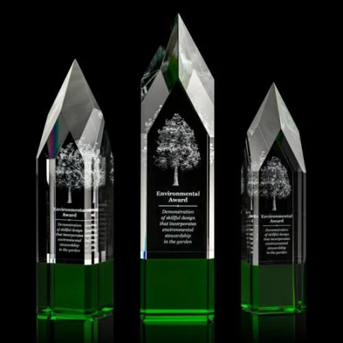 Environmental Award 3D- 3 Sizes  (Includes 3D Engraving)