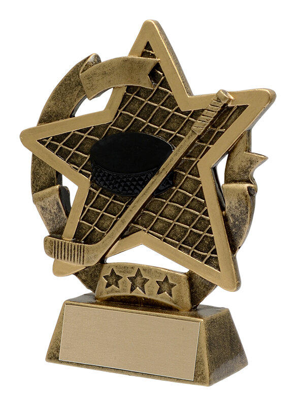 255mm Annual Shield Trophy Award Ice hockey Illustrious A 