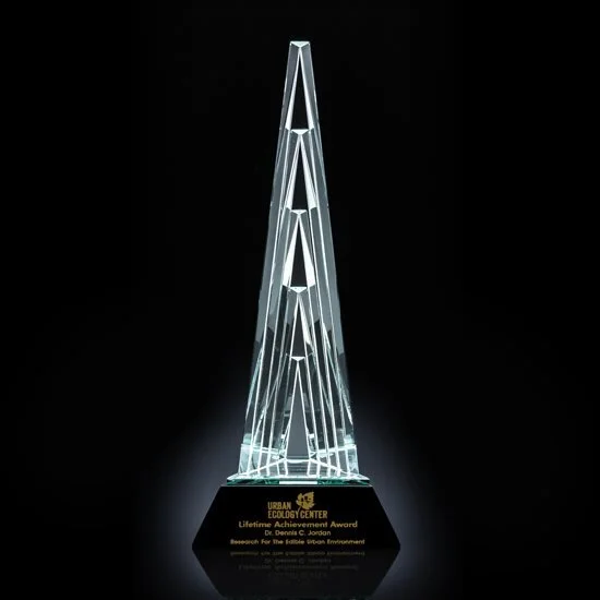 tower award.jpg