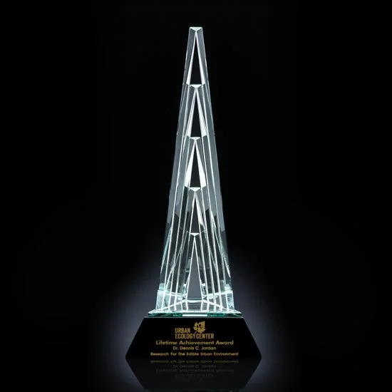 Quinery Tower Award 16.5" (Engraving Included)