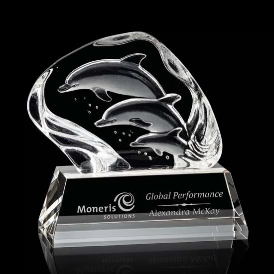 dolphin award.jpg