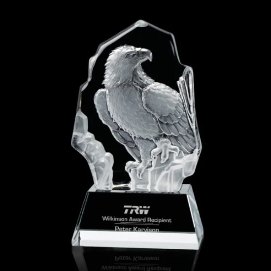 eagle award.jpg