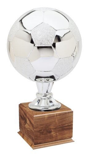 soccer ball-silver.jpg