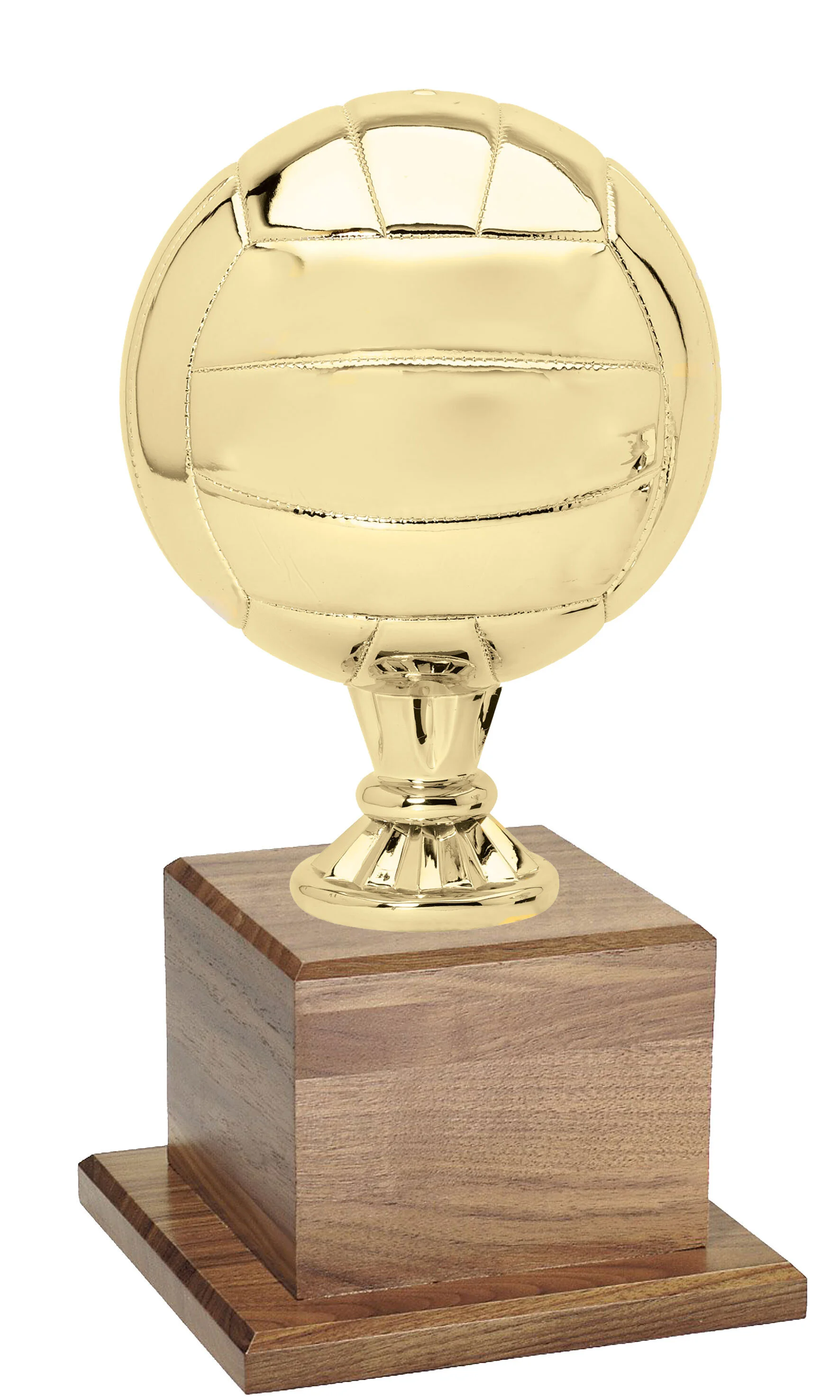 gold-volley-walnut-.jpg