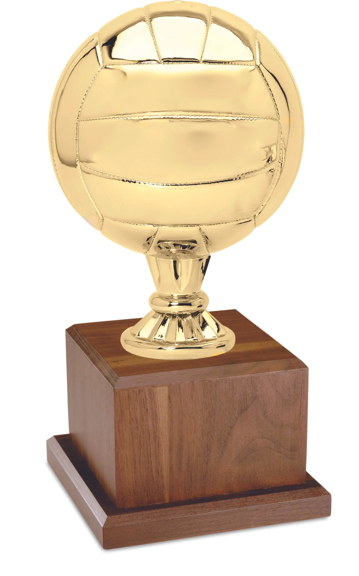 Gold Volleyball Game Ball Keeper 16" (Includes Engraving)
