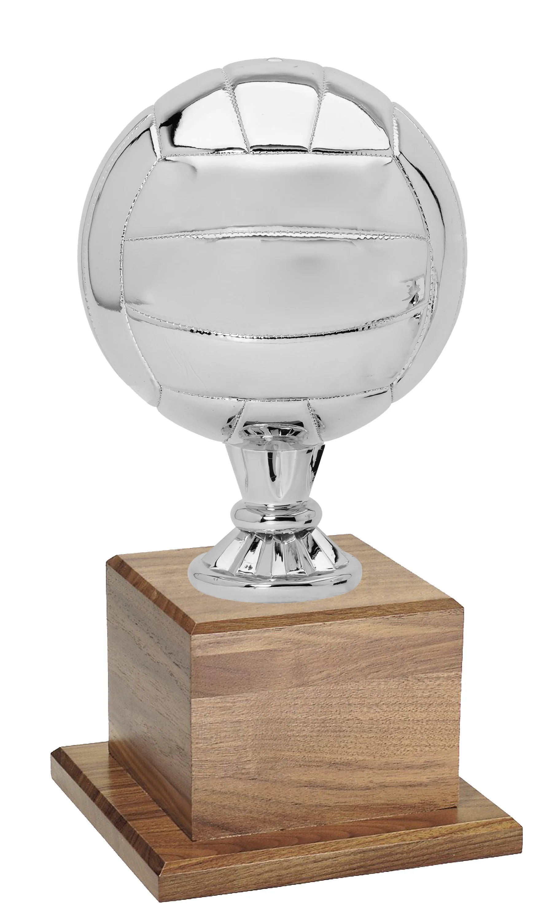 Silver Volleyball Game Ball Keeper 16" (Includes Engraving)
