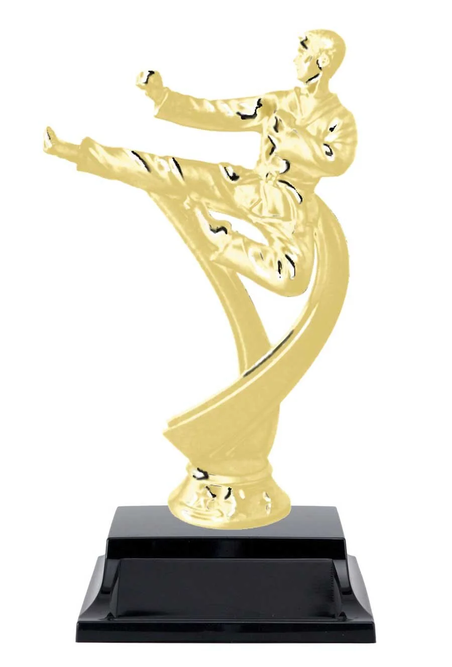 Karate Trophy 7" (Includes Engraving)
