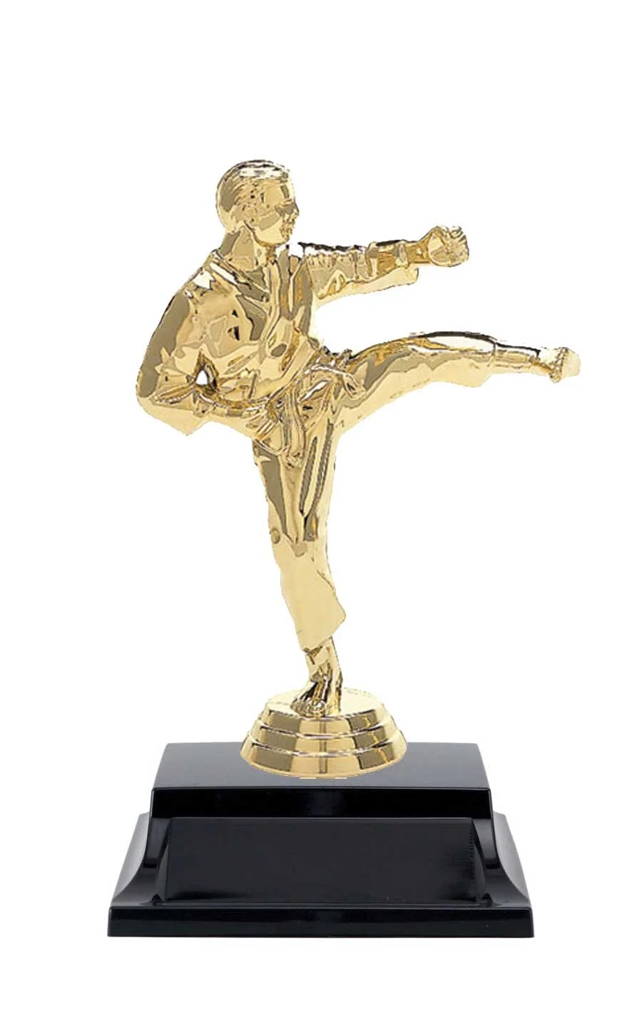 Karate/Martial Arts Trophy 6.86" (Includes Engraving)