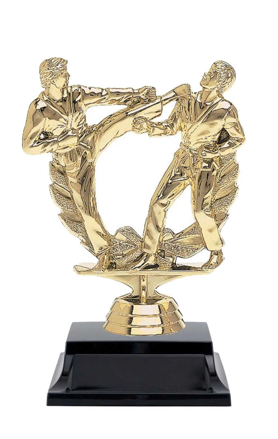 karate-trophy.jpg