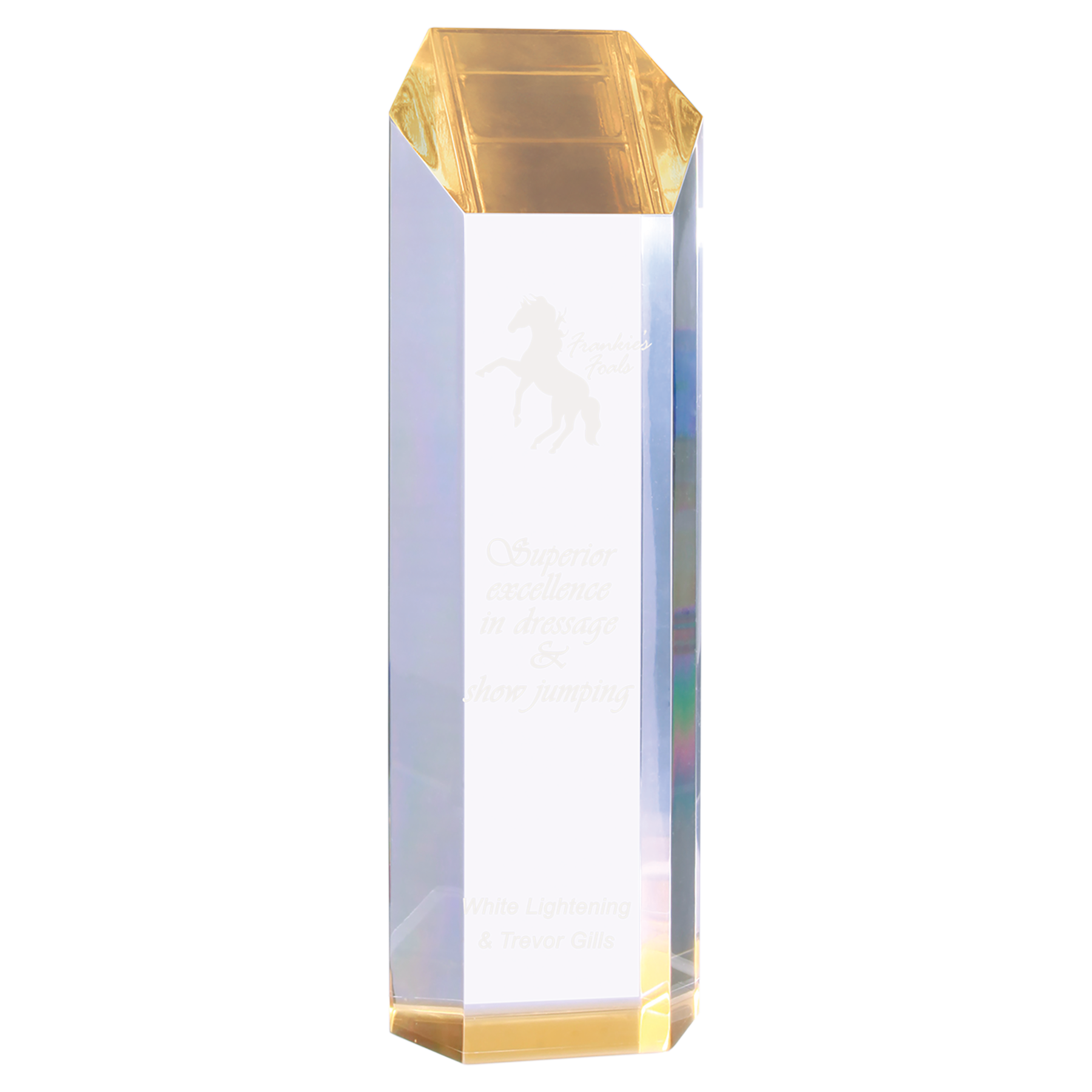 Tower Acrylics Gold- 2 Sizes (2 Custom Options)