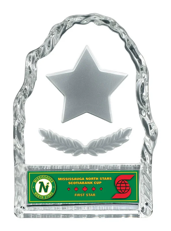 GL00431ST.jpg
