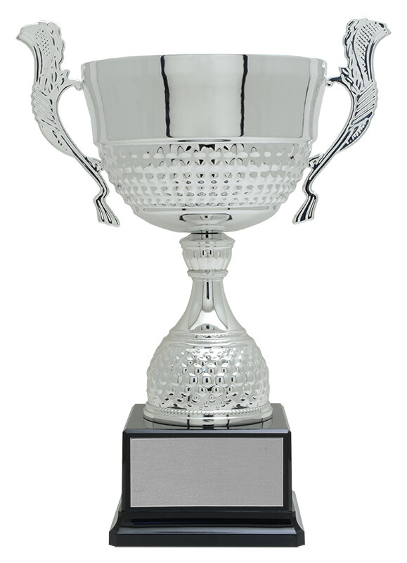 PRESENTATION CUP FREE LUXURY ENGRAVING * TR3098 Silver Multi Sport Bowl 