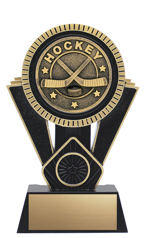 A 255mm Annual Shield Trophy Award Ice hockey Illustrious 