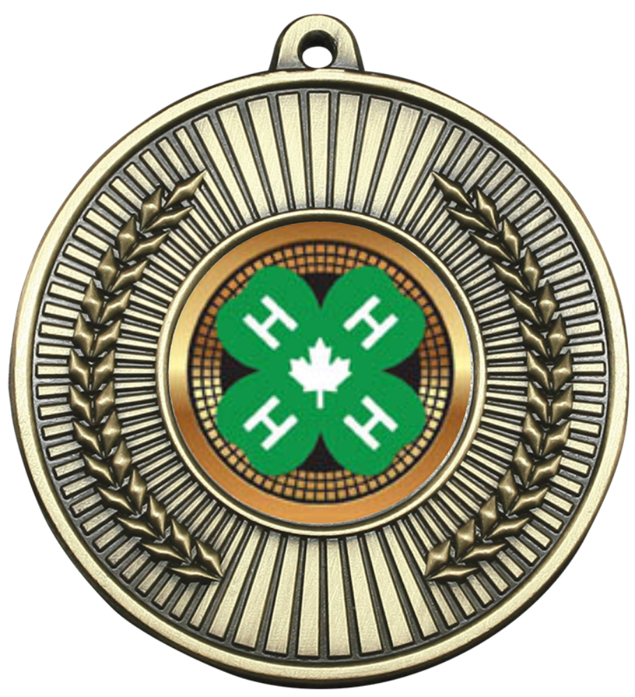 4H-medal.png