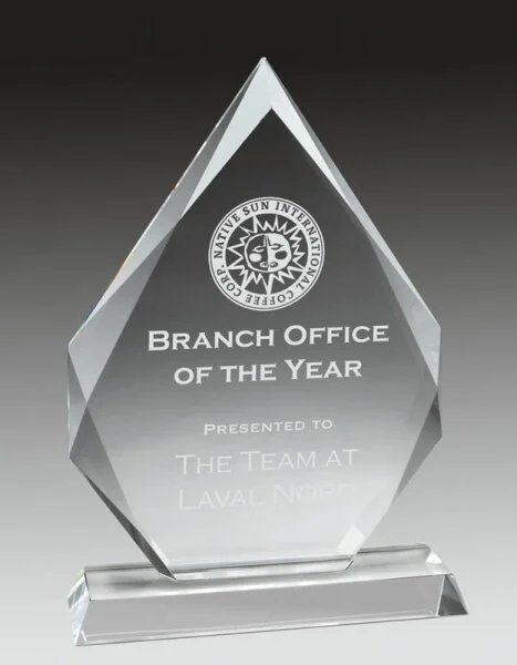 Crystal Arrowhead Award- 3 Sizes (Engraving Included)