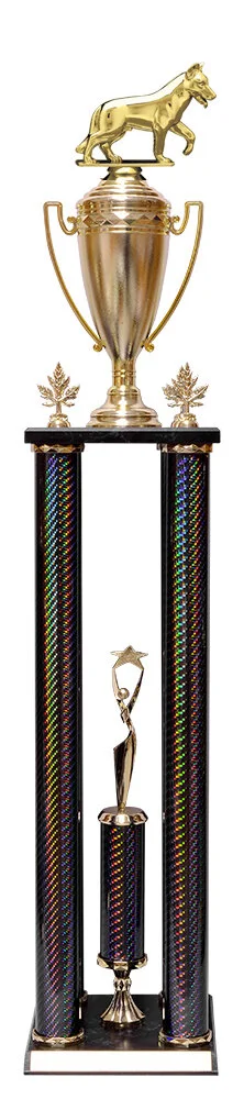 black-dog-trophy2.jpg