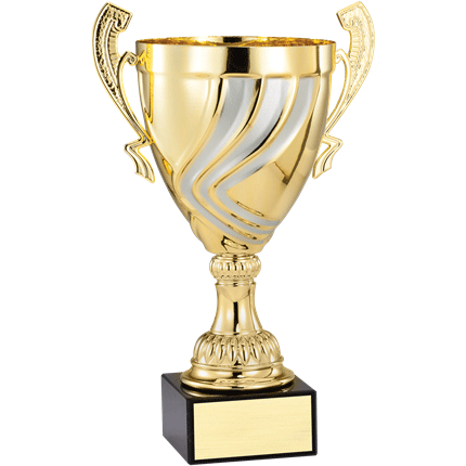 Swirl Gold/Silver Metal Cup- 3 Sizes (Includes Engraing)