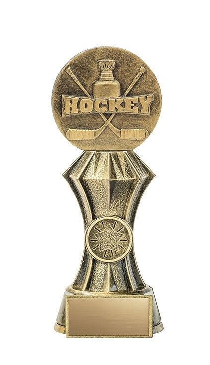Solid Resin Free Engraving Delta Netball Trophy 